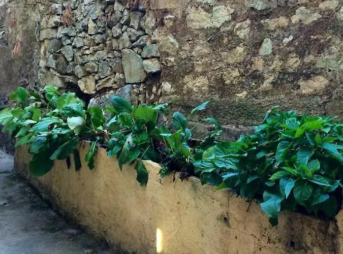Maison De Charme A Avec Terrasse Et Jardin * 아작시오