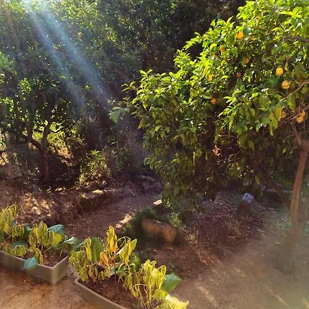 Maison De Charme A Avec Terrasse Et Jardin 阿雅克肖