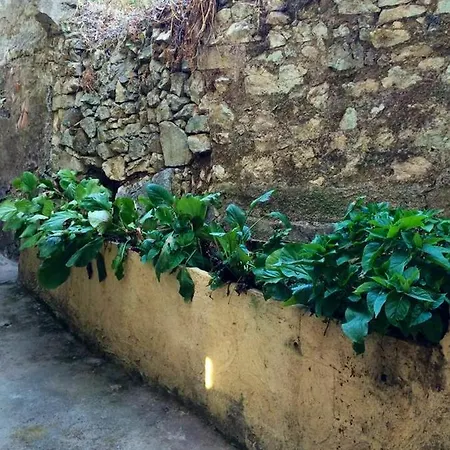 Maison De Charme A Avec Terrasse Et Jardin * Ajaccio (Corsica)
