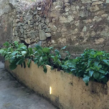 Maison De Charme A Avec Terrasse Et Jardin