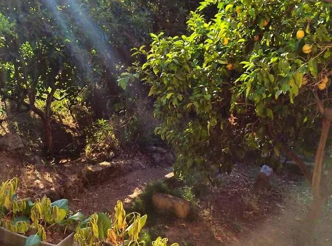 Maison De Charme A Avec Terrasse Et Jardin Аяччо